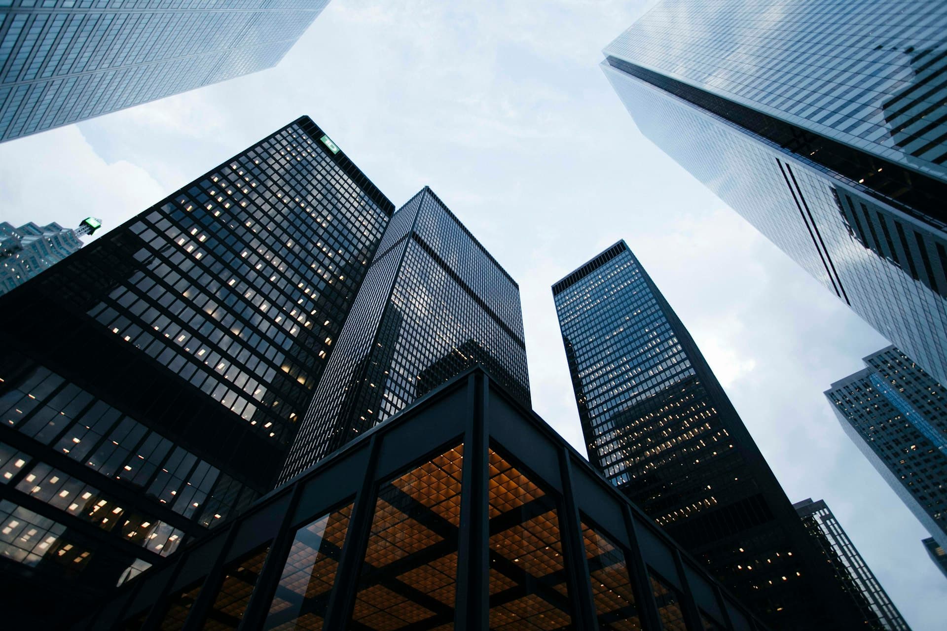 Businesses across industries served by Auerbach's Arabic translation team