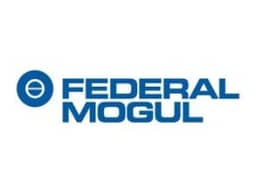 Federal Mogul Federal Mogul