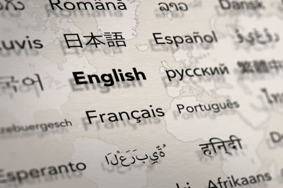 Technical and user manual translation