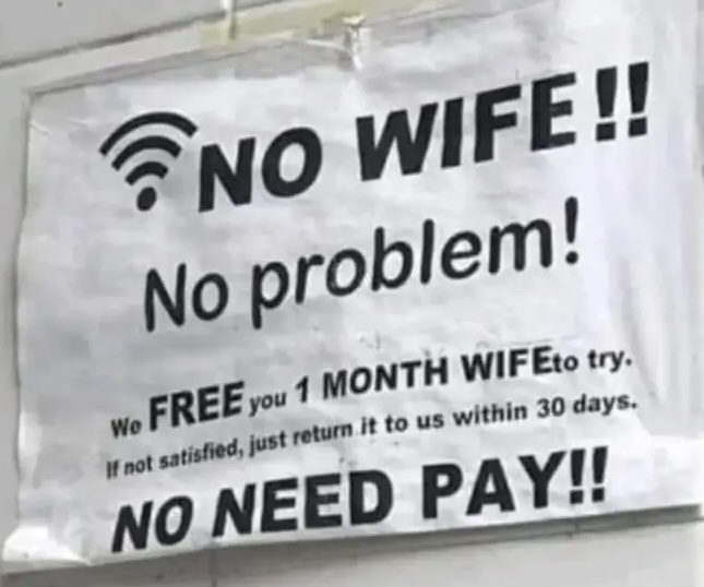 A sign with a humorous translation about companionship